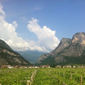 panorama trentino trento malè