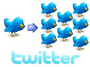 aumentare follower twitter