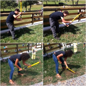 Il social media team semina la pianta di biancospino