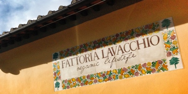 Visita a Fattoria Lavacchio: la Toscana nascosta ai toscani