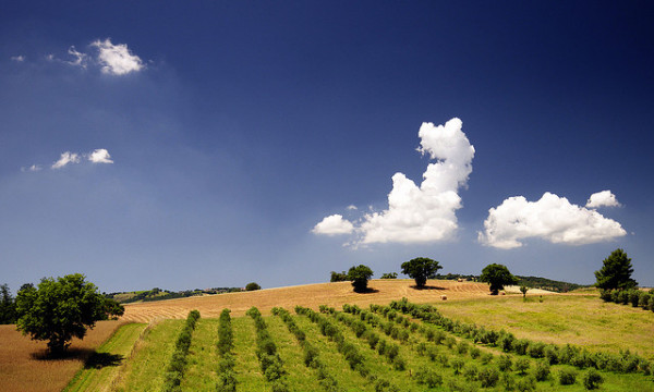 maremmans blog tour in maremma